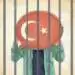 TURKEY: Using the disinformation law as a weapon