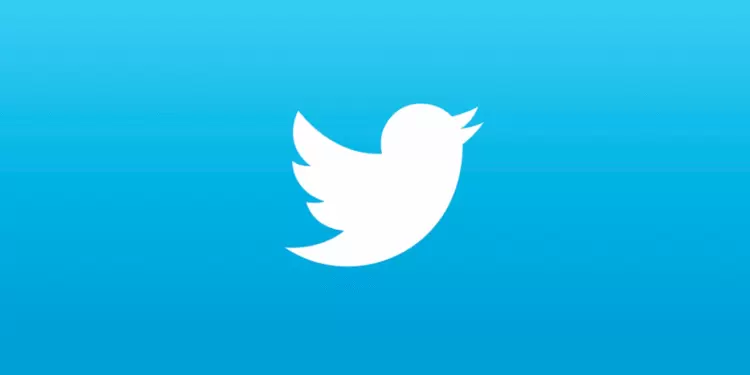 X Updates Terms and Countersues to Keep Hold of the ‘Twitter’ Trademark